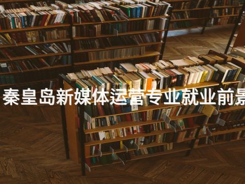 秦皇岛新媒体运营专业就业前景(图1) 秦皇岛新媒体运营专业就业前景(图1)