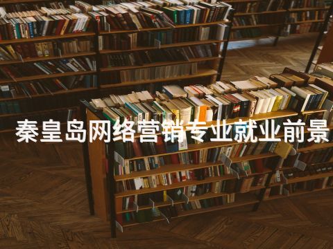秦皇岛网络营销专业就业前景(图1)