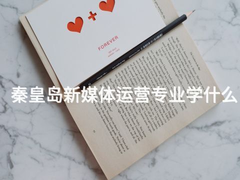 秦皇岛新媒体运营专业学什么(图1) 秦皇岛新媒体运营专业学什么(图1)