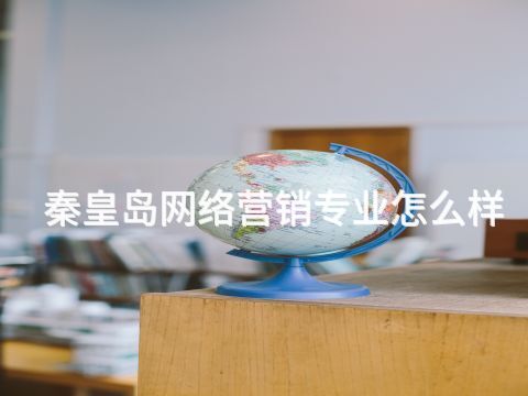 秦皇岛网络营销专业怎么样(图1)