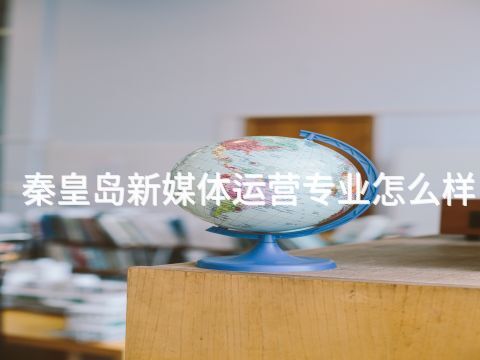 秦皇岛新媒体运营专业怎么样(图1) 秦皇岛新媒体运营专业怎么样(图1)