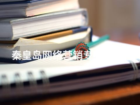 秦皇岛网络营销专业有用吗(图1)