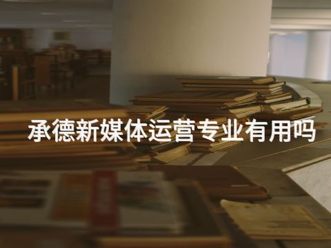 承德新媒体运营专业有用吗(图1) 承德新媒体运营专业有用吗(图1)