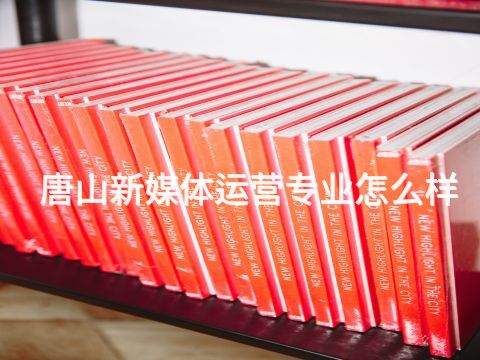 唐山新媒体运营专业怎么样(图1) 唐山新媒体运营专业怎么样(图1)