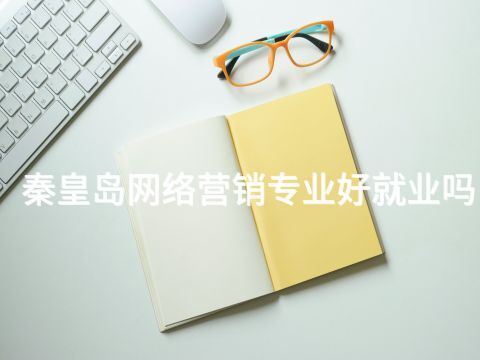秦皇岛网络营销专业好就业吗(图1)