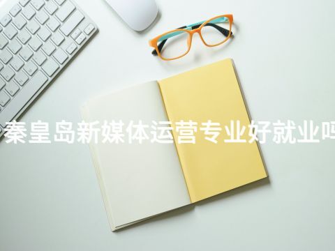 秦皇岛新媒体运营专业好就业吗(图1) 秦皇岛新媒体运营专业好就业吗(图1)