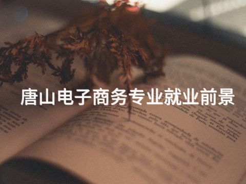 唐山电子商务专业就业前景(图1) 唐山电子商务专业就业前景(图1)