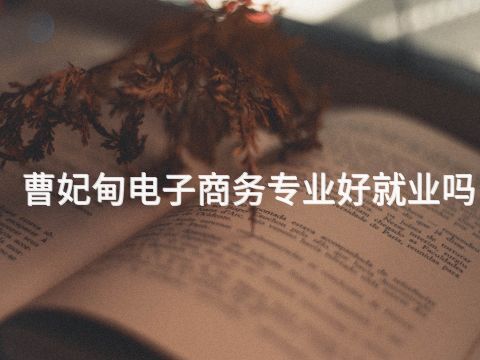 曹妃甸电子商务专业好就业吗(图1)
