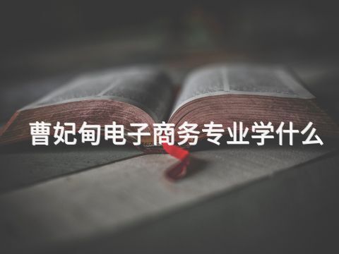 曹妃甸电子商务专业学什么(图1) 曹妃甸电子商务专业学什么(图1)