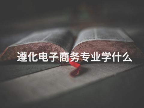 遵化电子商务专业学什么(图1) 遵化电子商务专业学什么(图1)