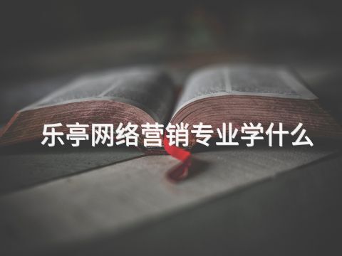乐亭网络营销专业学什么(图1)