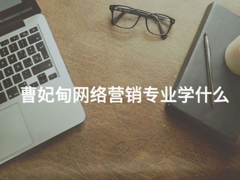 曹妃甸网络营销专业学什么(图1)