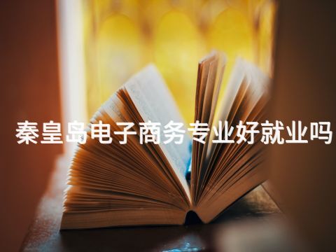 秦皇岛电子商务专业好就业吗(图1)
