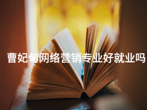 曹妃甸网络营销专业好就业吗(图1)