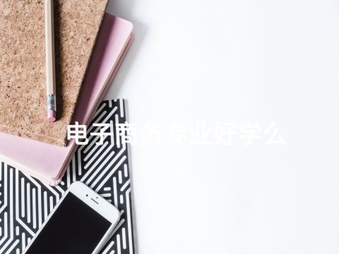 电子商务专业好学么(图1)
