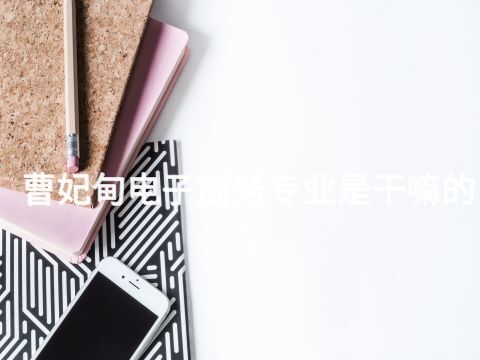 曹妃甸电子商务专业是干嘛的(图1) 曹妃甸电子商务专业是干嘛的(图1)