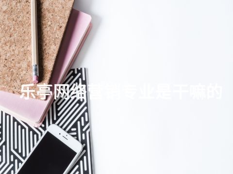 乐亭网络营销专业是干嘛的(图1)