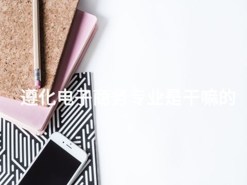 遵化电子商务专业是干嘛的(图1) 遵化电子商务专业是干嘛的(图1)