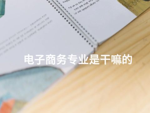 电子商务专业是干嘛的(图1)