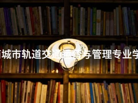 丰南城市轨道交通运营与管理专业学什么(图1) 丰南城市轨道交通运营与管理专业学什么(图1)
