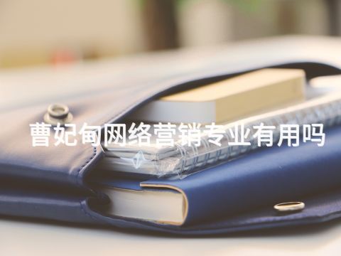 曹妃甸网络营销专业有用吗(图1)