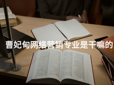 曹妃甸网络营销专业是干嘛的(图1)