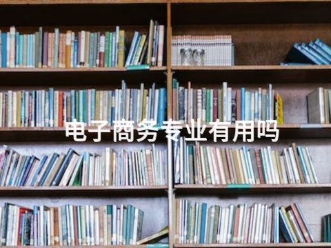 电子商务专业有用吗(图1)