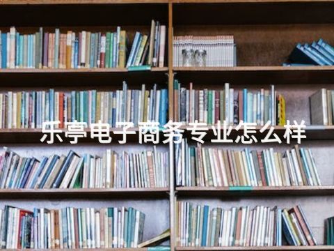 乐亭电子商务专业怎么样(图1)