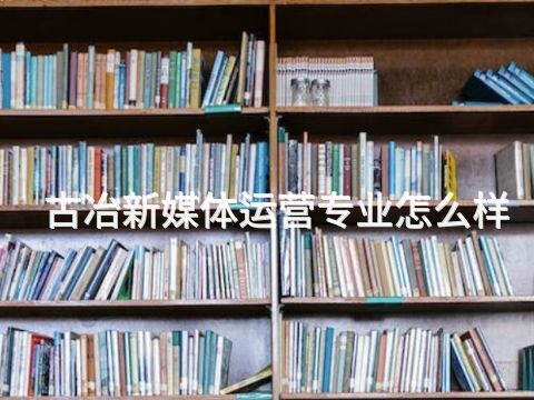 古冶新媒体运营专业怎么样(图1)