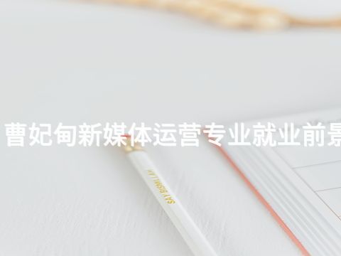 曹妃甸新媒体运营专业就业前景(图1) 曹妃甸新媒体运营专业就业前景(图1)