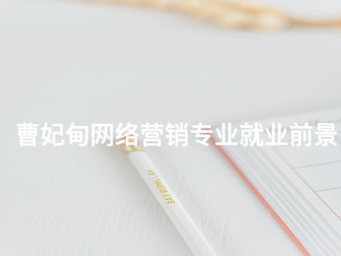 曹妃甸网络营销专业就业前景(图1)