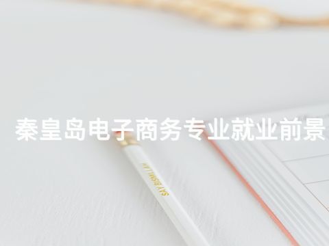 秦皇岛电子商务专业就业前景(图1)