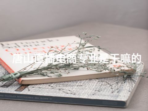 唐山直播电商专业是干嘛的(图1) 唐山直播电商专业是干嘛的(图1)