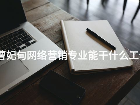 曹妃甸网络营销专业能干什么工作(图1)