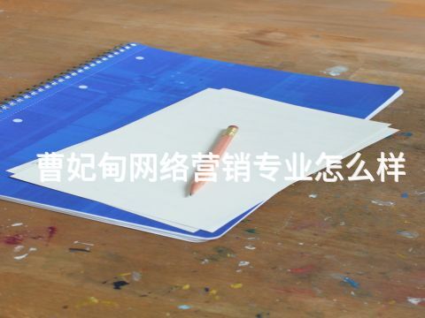 曹妃甸网络营销专业怎么样(图1)