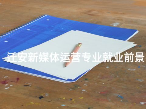 迁安新媒体运营专业就业前景(图1) 迁安新媒体运营专业就业前景(图1)