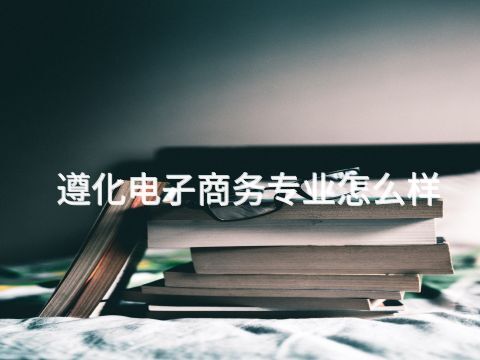 遵化电子商务专业怎么样(图1) 遵化电子商务专业怎么样(图1)