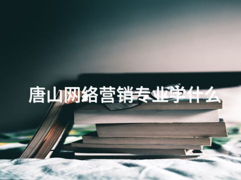 唐山网络营销专业学什么(图1) 唐山网络营销专业学什么(图1)