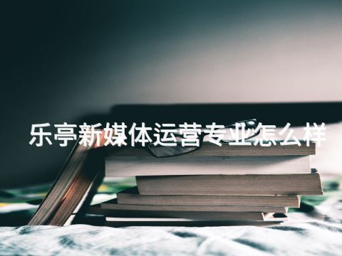 乐亭新媒体运营专业怎么样(图1) 乐亭新媒体运营专业怎么样(图1)