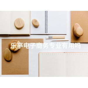 乐亭电子商务专业有用吗