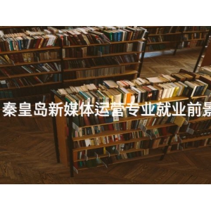 秦皇岛新媒体运营专业就业前景