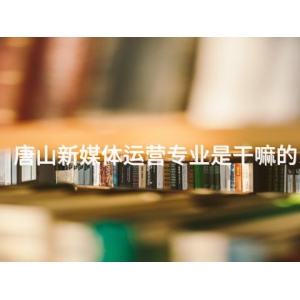唐山新媒体运营专业是干嘛的