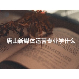 唐山新媒体运营专业学什么