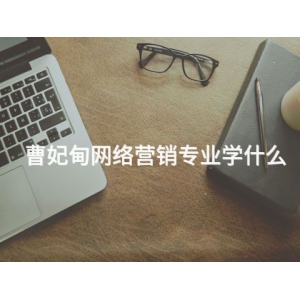 曹妃甸网络营销专业学什么