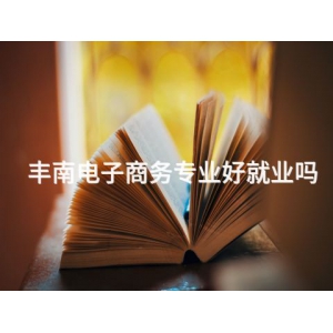 丰南电子商务专业好就业吗