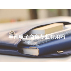 丰南电子商务专业有用吗