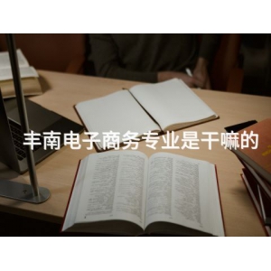 丰南电子商务专业是干嘛的