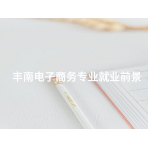 丰南电子商务专业就业前景