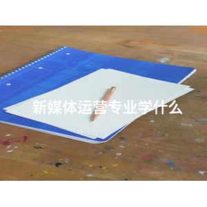 新媒体运营专业学什么