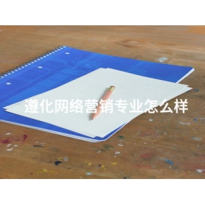 遵化网络营销专业怎么样